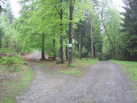 Foto 33